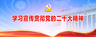 学习宣传贯彻党的二十大精神